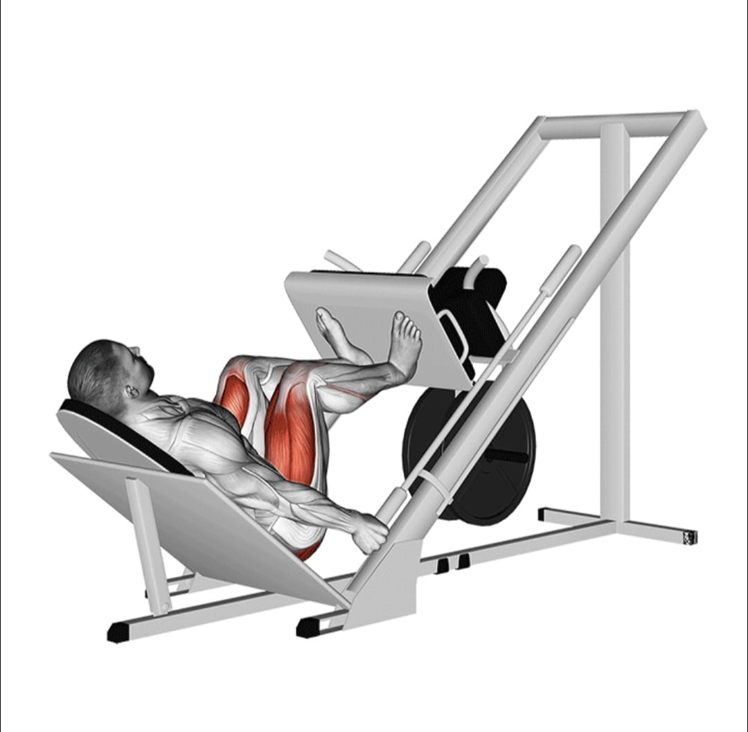Leg pre    Incline o tronco para frente, costas retas.
    Puxe a barra/hater em direção ao abdômen.
    Desça controlando.
s 45º
